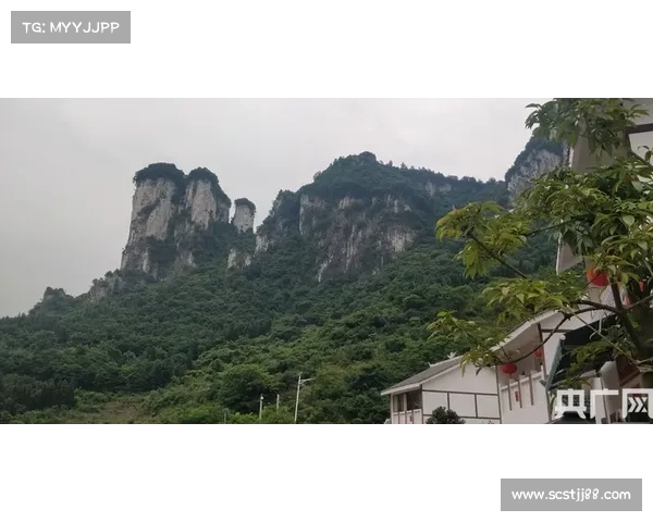 提升吃鸡手游团队协作的五大策略助力赢得每一场战斗 提升吃鸡手游团队协作的五大策略助力赢得每一场战斗