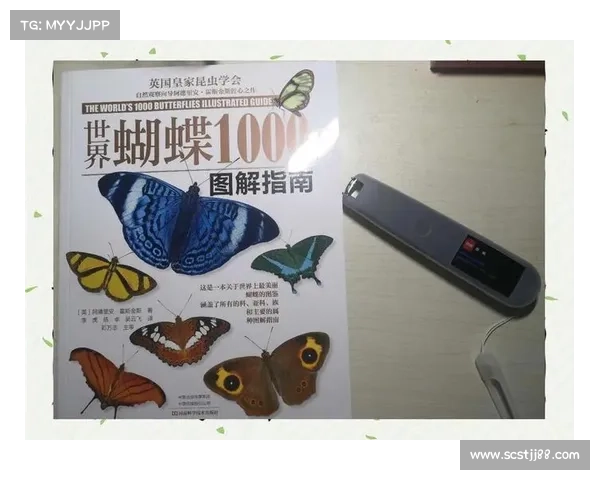 从哲学思想与学术评价角度解析大卫路易斯落选原因之深层逻辑