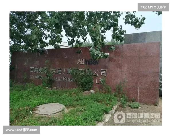 大连英博失利的深层原因及其对中国啤酒市场的影响分析