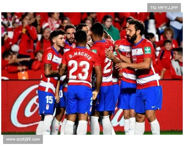 意甲联赛传统豪门与新兴球队的激烈较量与竞争格局分析 意甲联赛传统豪门与新兴球队的激烈较量与竞争格局分析